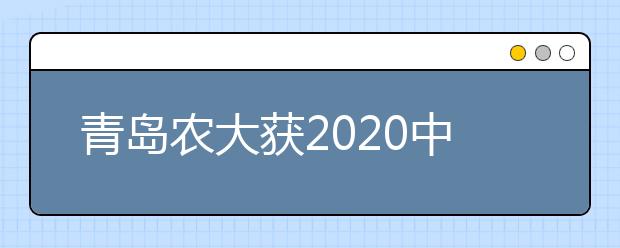 青岛农大获2020中国高校远程与继续教育优秀案例奖