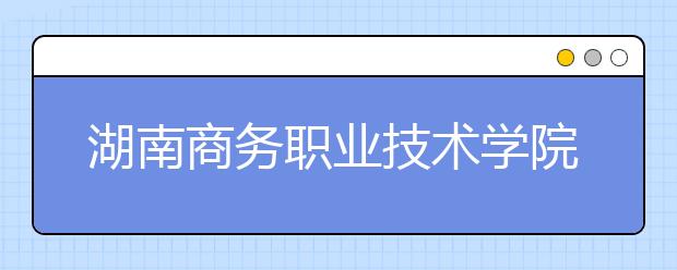 湖南商务职业技术学院计算机网络技术（高起专）专业怎么样