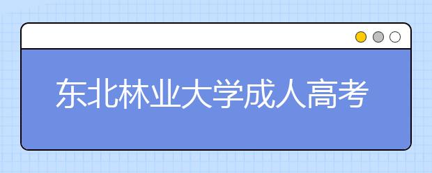 东北林业大学成人高考热招专业