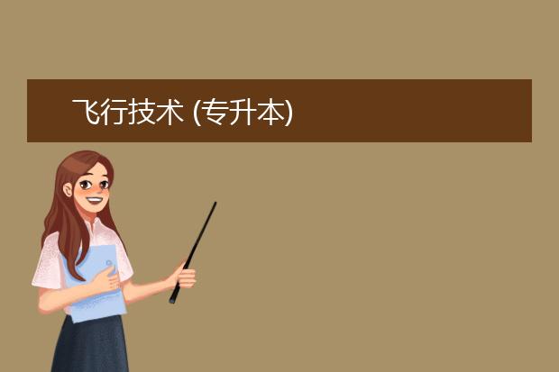 飞行技术 (专升本)