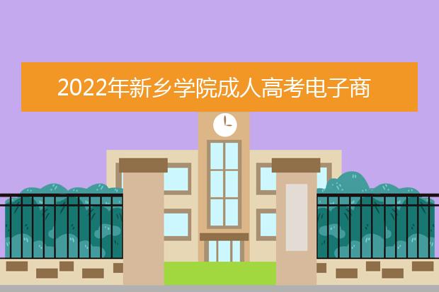 2022年新乡学院成人高考电子商务（专升本）就业方向