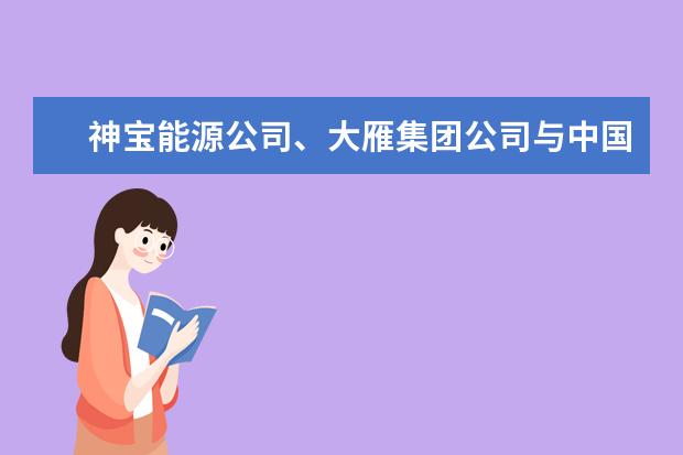 神宝能源公司、大雁集团公司与中国矿业大学进行合作办学座谈