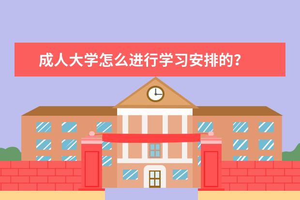 成人大学怎么进行学习安排的?