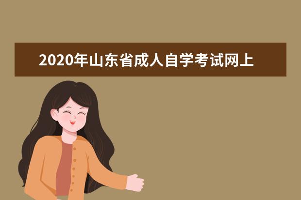 2020年山东省成人自学考试网上报名官网