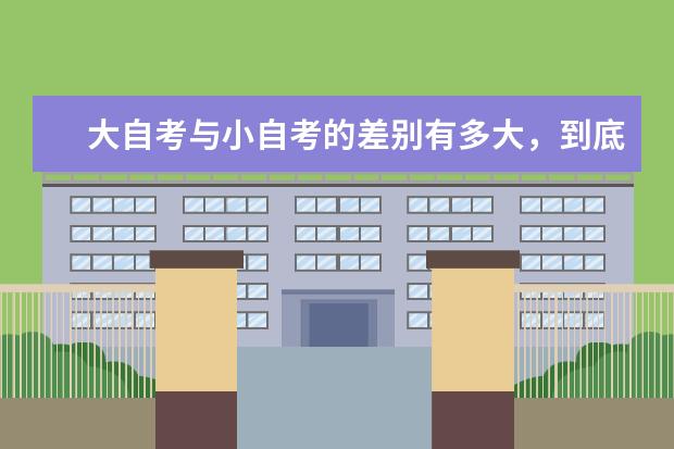 大自考与小自考的差别有多大，到底选哪个好？(大自考和小自考哪个比较靠谱)