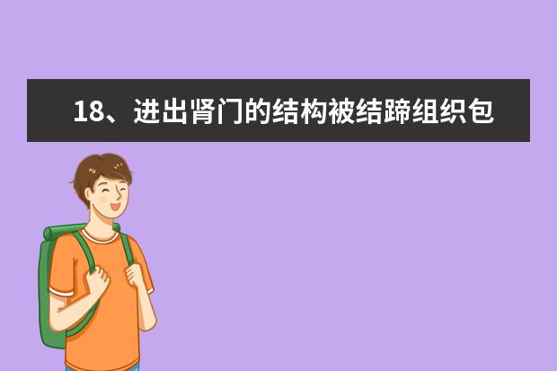 18、进出肾门的结构被结蹄组织包绕构成( )