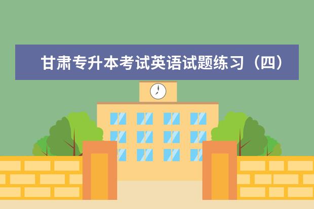 甘肃专升本考试英语试题练习(四)