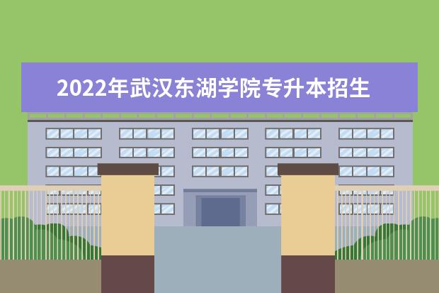 2022年武汉东湖学院专升本招生专业录取率汇总一览表