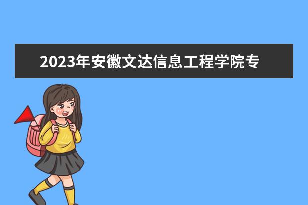 2023年安徽文达信息工程学院专升本电子商务专业课考试说明发布！