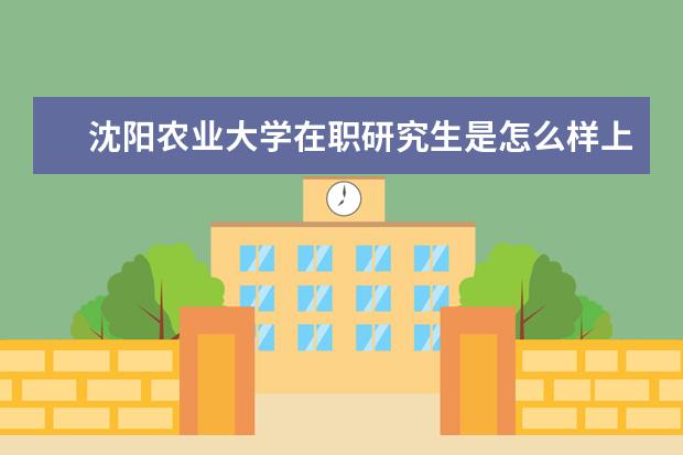 沈阳农业大学在职研究生是怎么样上课的？
