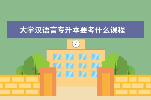 大学汉语言专升本要考什么课程