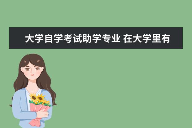大学自学考试助学专业 在大学里有报考自考 有分社会型专业 和助学型专业 ...
