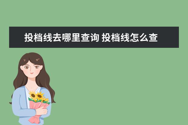 投档线去哪里查询 投档线怎么查