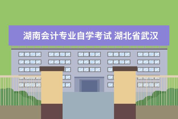湖南会计专业自学考试 湖北省武汉中南财大高等自学考试本科(专套本会计专...