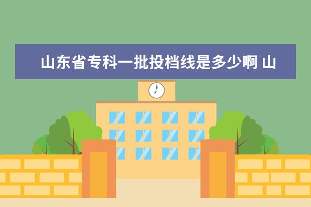山东省专科一批投档线是多少啊 山东省投档线