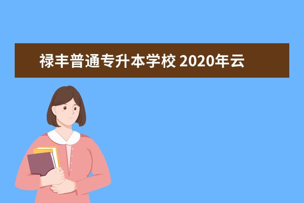 禄丰普通专升本学校 2020年云南省法律职业资格考试公告