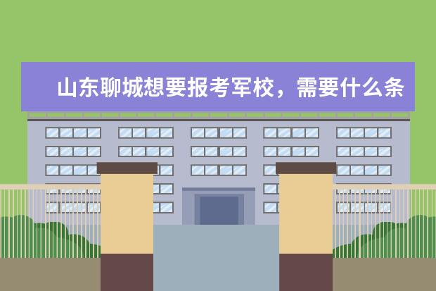 山东聊城想要报考军校，需要什么条件？