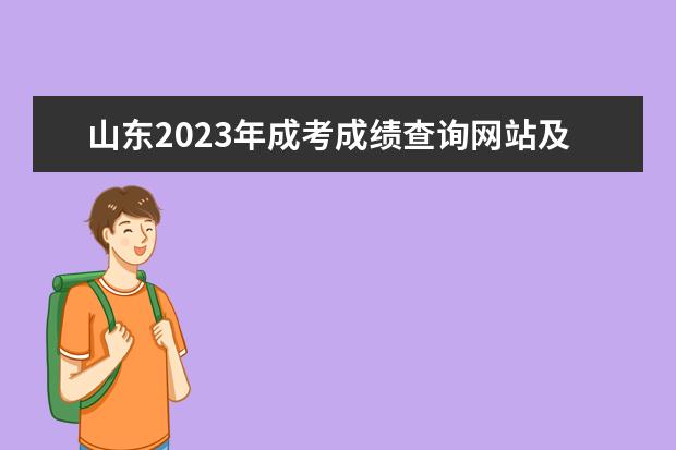 山东2023年成考成绩查询网站及入口在哪里?