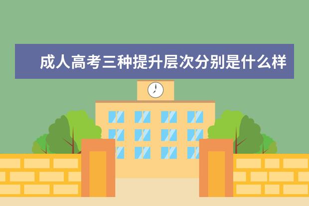 成人高考三种提升层次分别是什么样的？