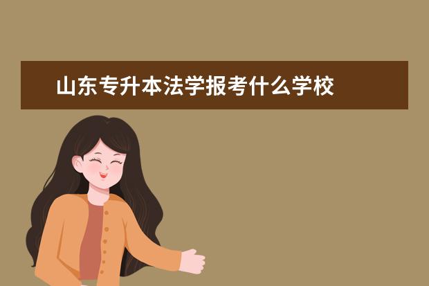 山东专升本法学报考什么学校
