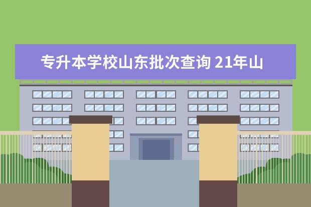 专升本学校山东批次查询 21年山东专升本怎样查投档情况