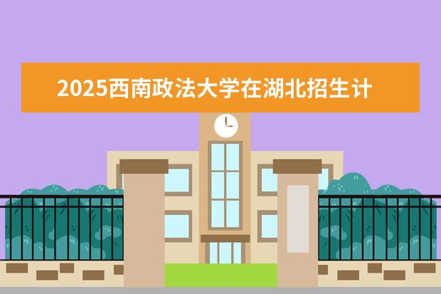 2025西南政法大学在湖北招生计划及专业参考（2026参考）