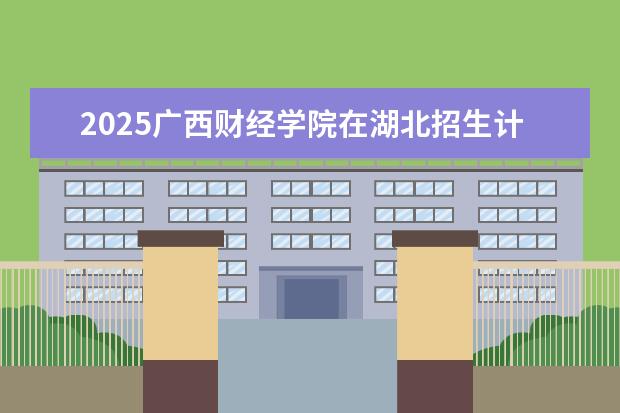 2025广西财经学院在湖北招生计划及专业参考（2026参考）