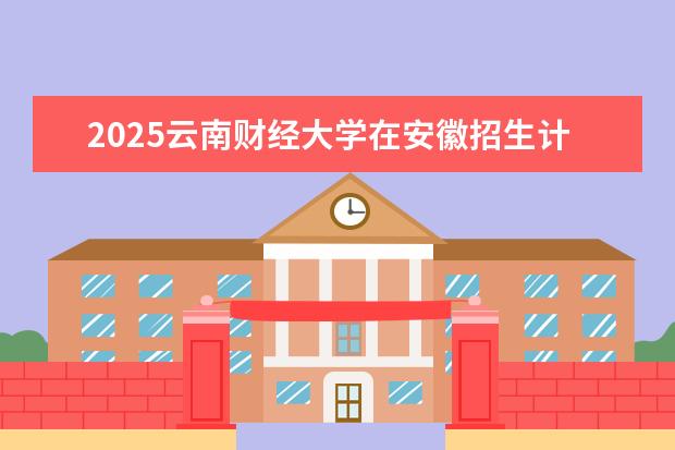 2025云南财经大学在安徽招生计划及专业参考（2026参考）