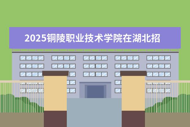 2025铜陵职业技术学院在湖北招生计划及专业参考（2026参考）