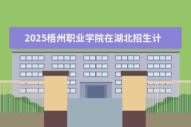 2025梧州职业学院在湖北招生计划及专业参考（2026参考）