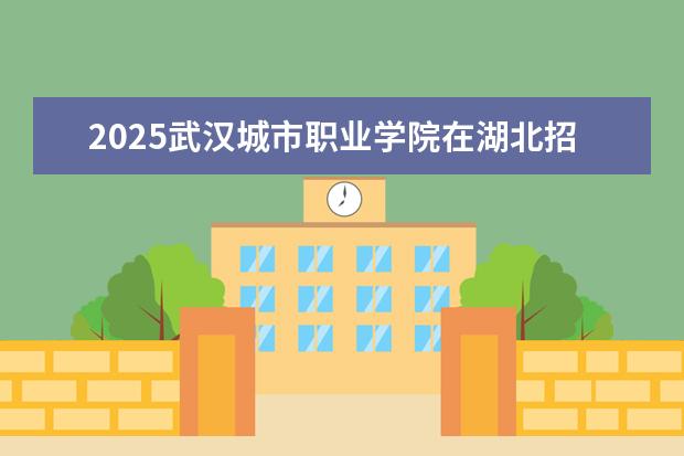2025武汉城市职业学院在湖北招生计划及专业参考（2026参考）